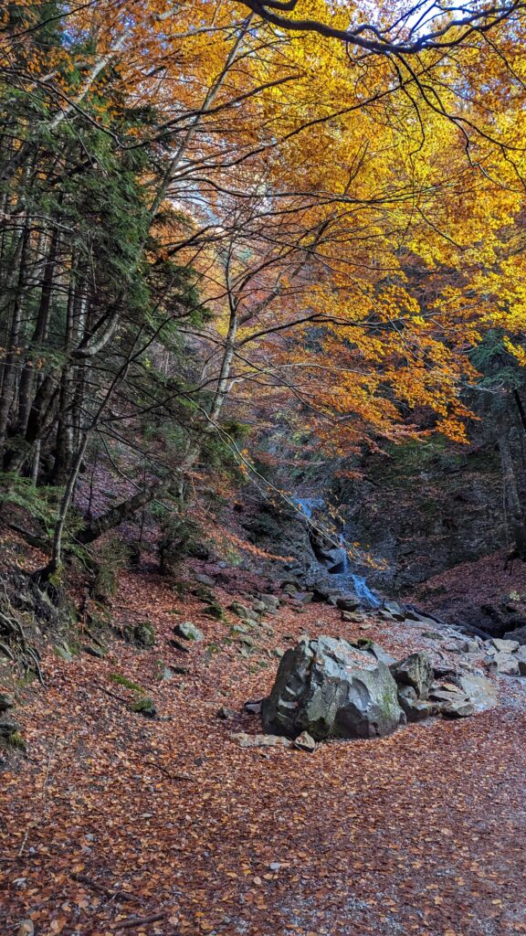 fotos de cascada de la cola de caballo