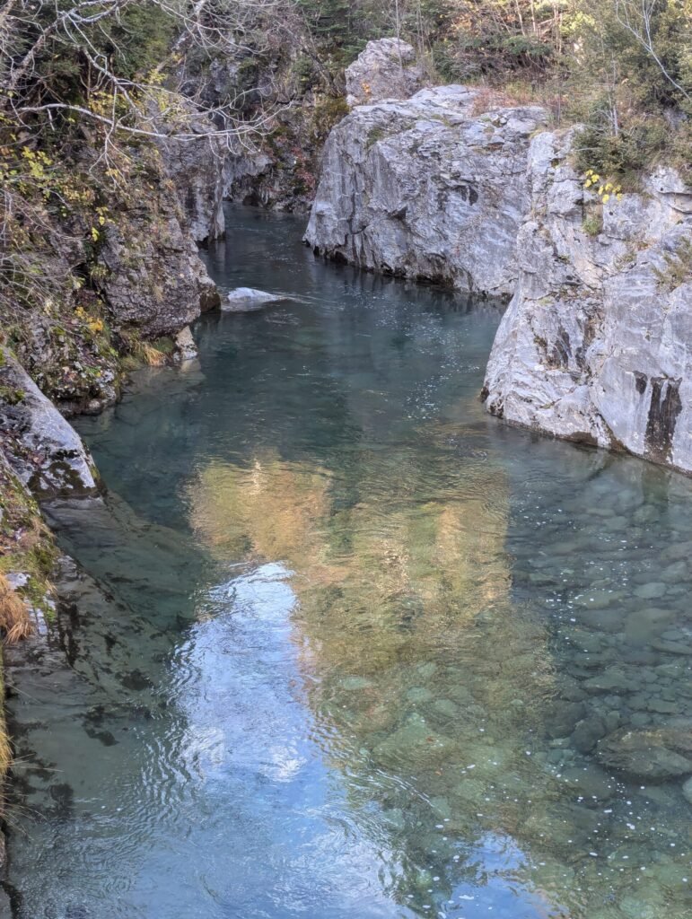 Río Ara visto desde el Puente de Oncins en el valle de Bujaruelo